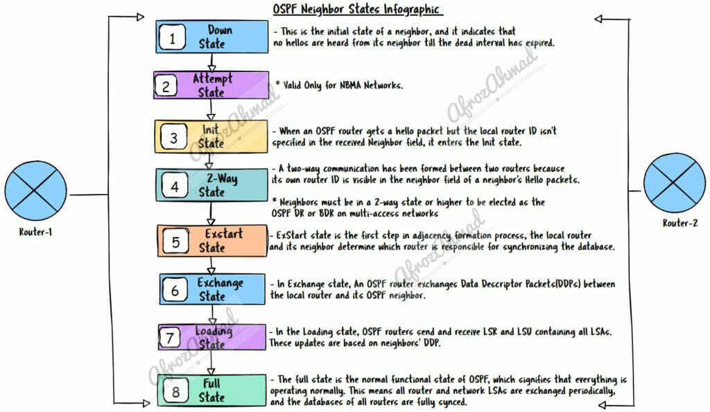 OSPF States Infographic