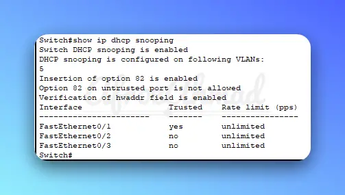 Show ip dhcp snooping