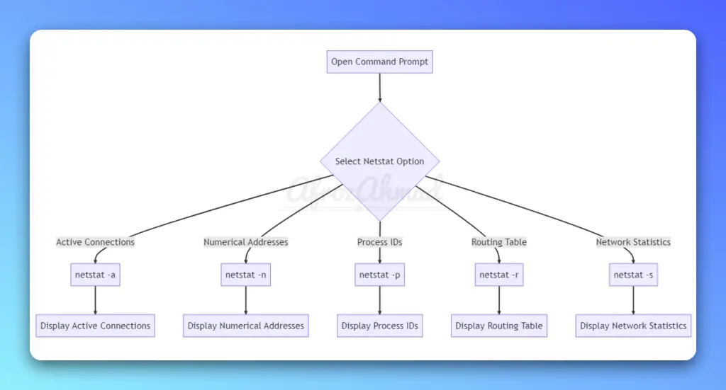 What is Netstat command