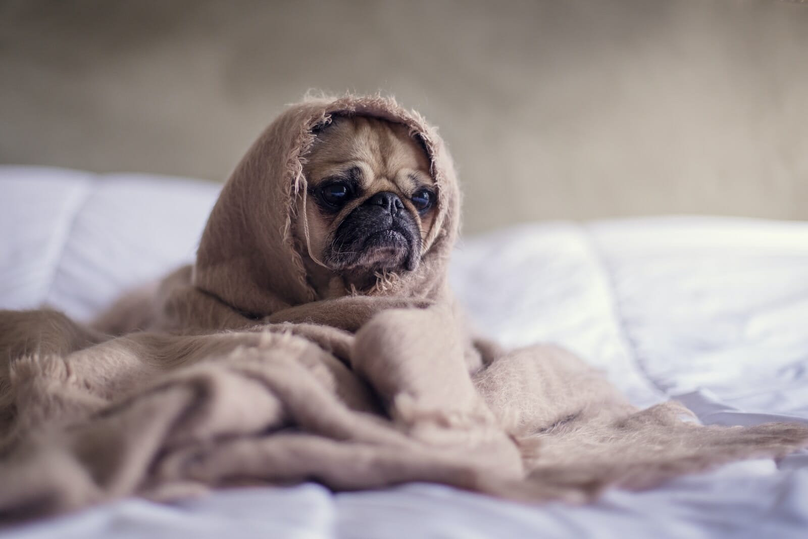 staying awake