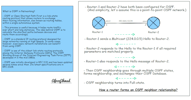 What is OSPF in Networking