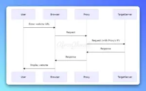 What are Proxies and How Proxies Work?