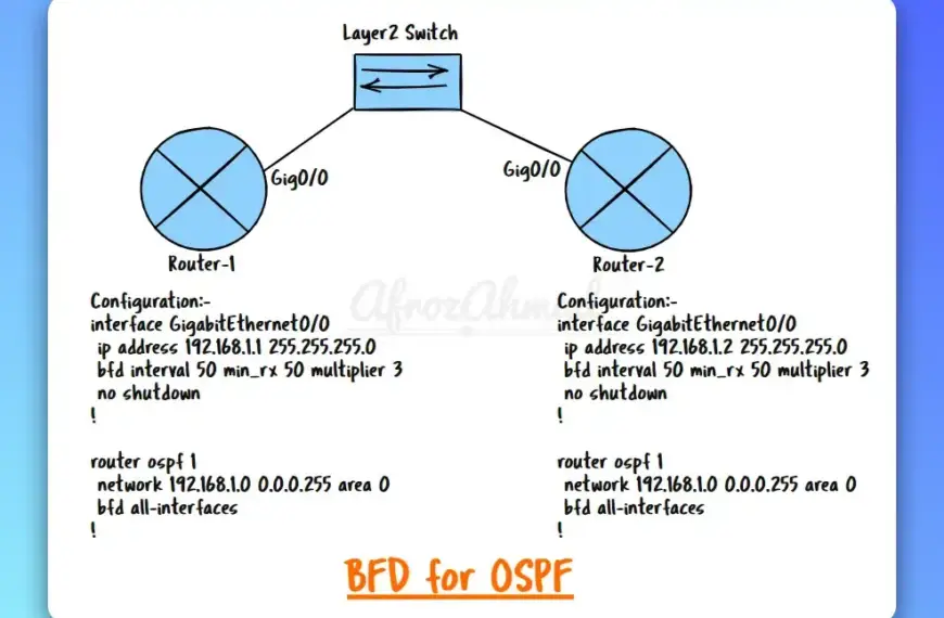What is BFD or Bidirectional Forwarding Detection Config